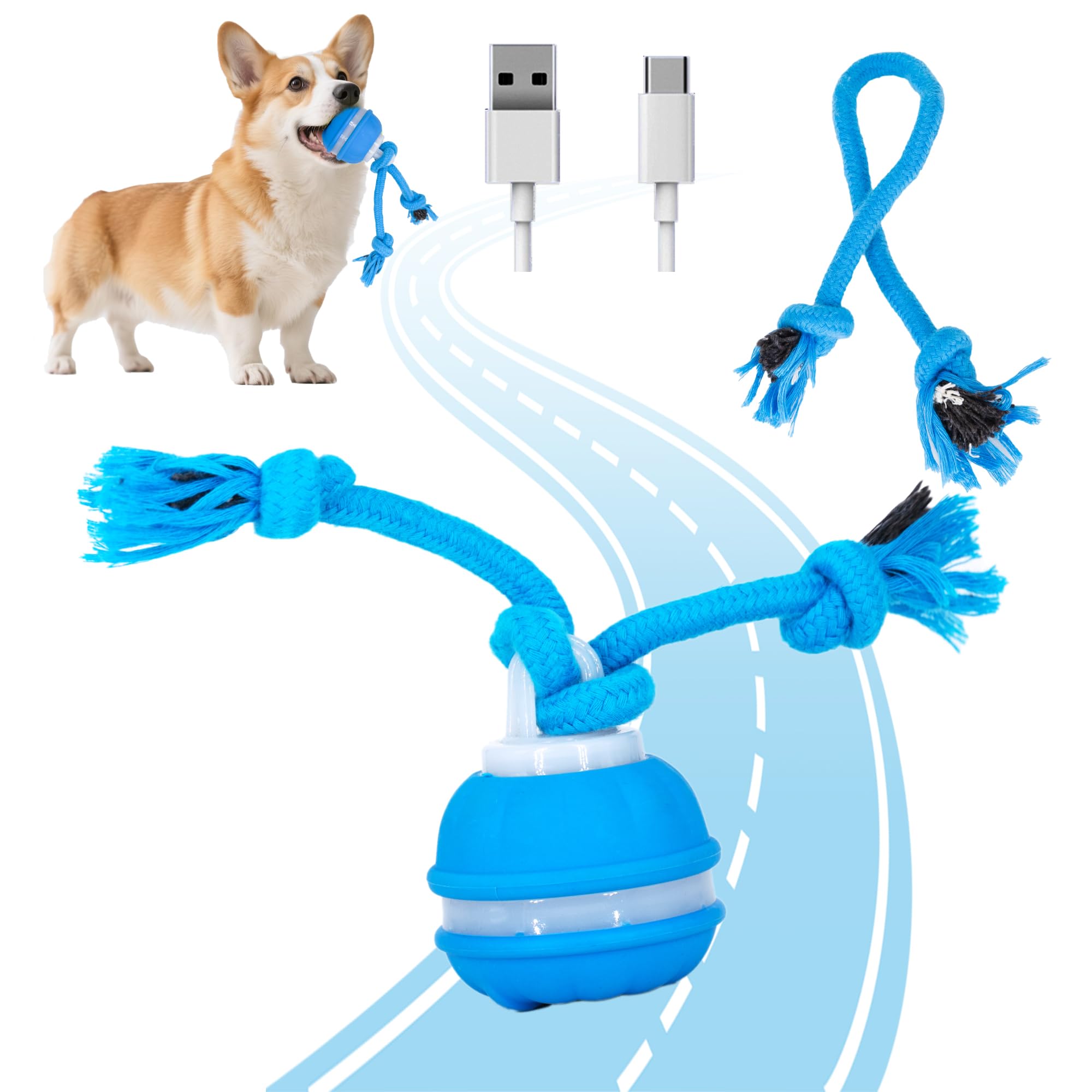 KumCinm Power Tail 2.0 ball-motion in action drives active exercise.