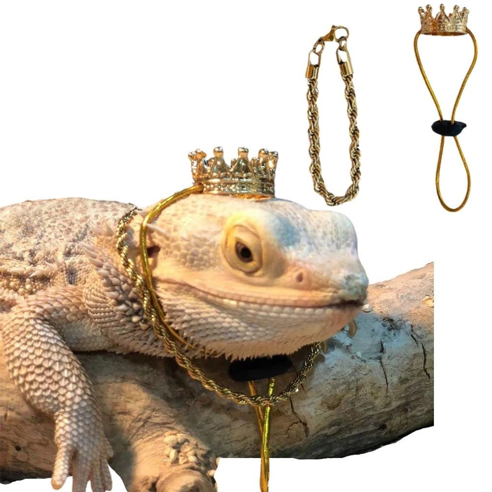 KUNBIUH lizard crown necklace set gold closeup highlights premium craftsmanship for small pets