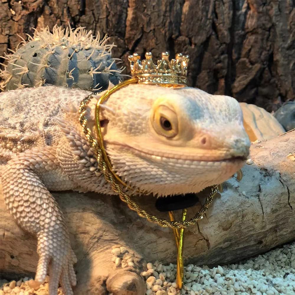 KUNBIUH lizard crown necklace set gold cute pet parades and parties