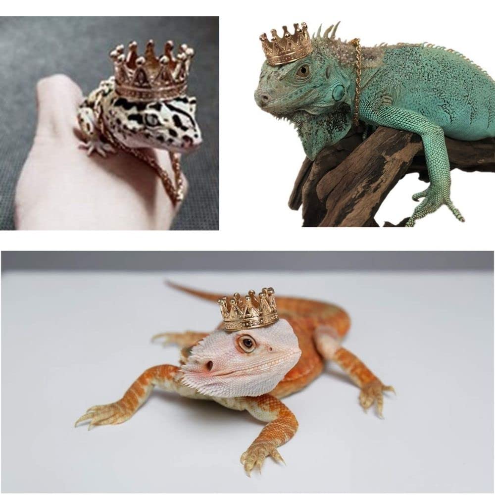 KUNBIUH lizard crown necklace set gold photo prop for reptile-themed shoots