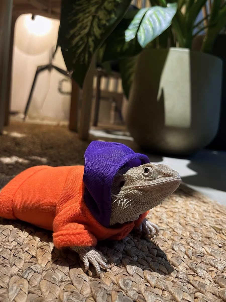 KUNBIUH lizard hoodie orange product close-up highlights safe skin-friendly fibers