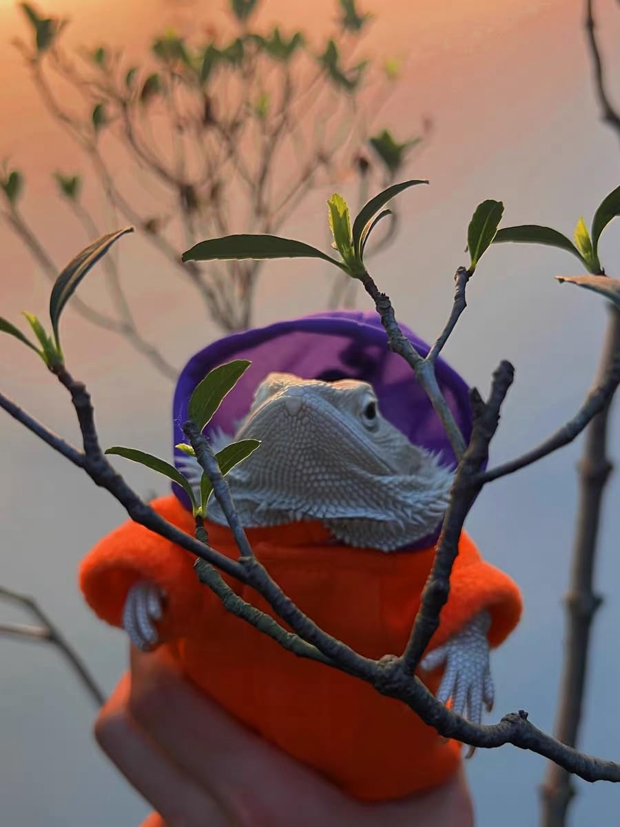 KUNBIUH lizard hoodie orange material detail emphasizes breathable, machine-washable fabric