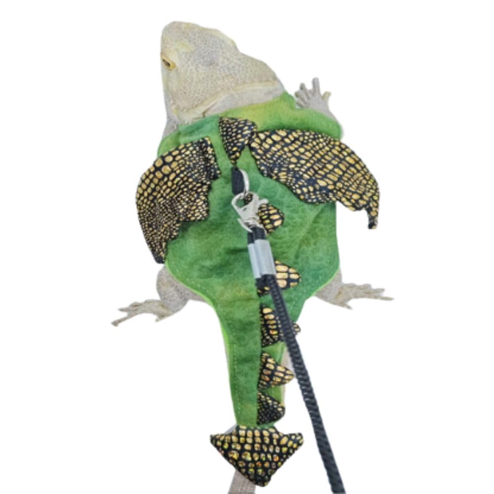 KUNBIUH pet wearing harness on dragon suitable for outdoor walking