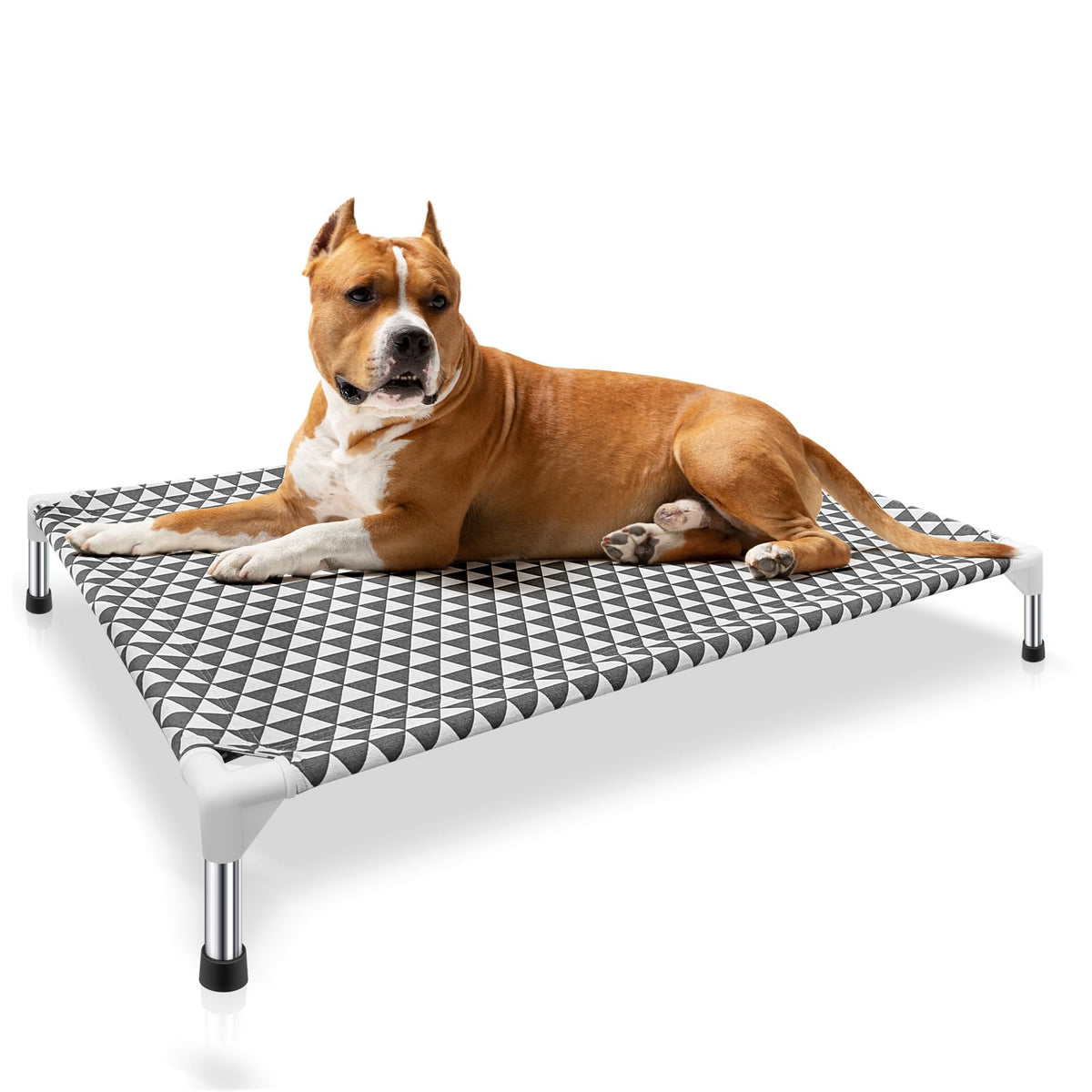 Kuntrust elevated outdoor dog bed assembly view shows tool-free setup for quick use