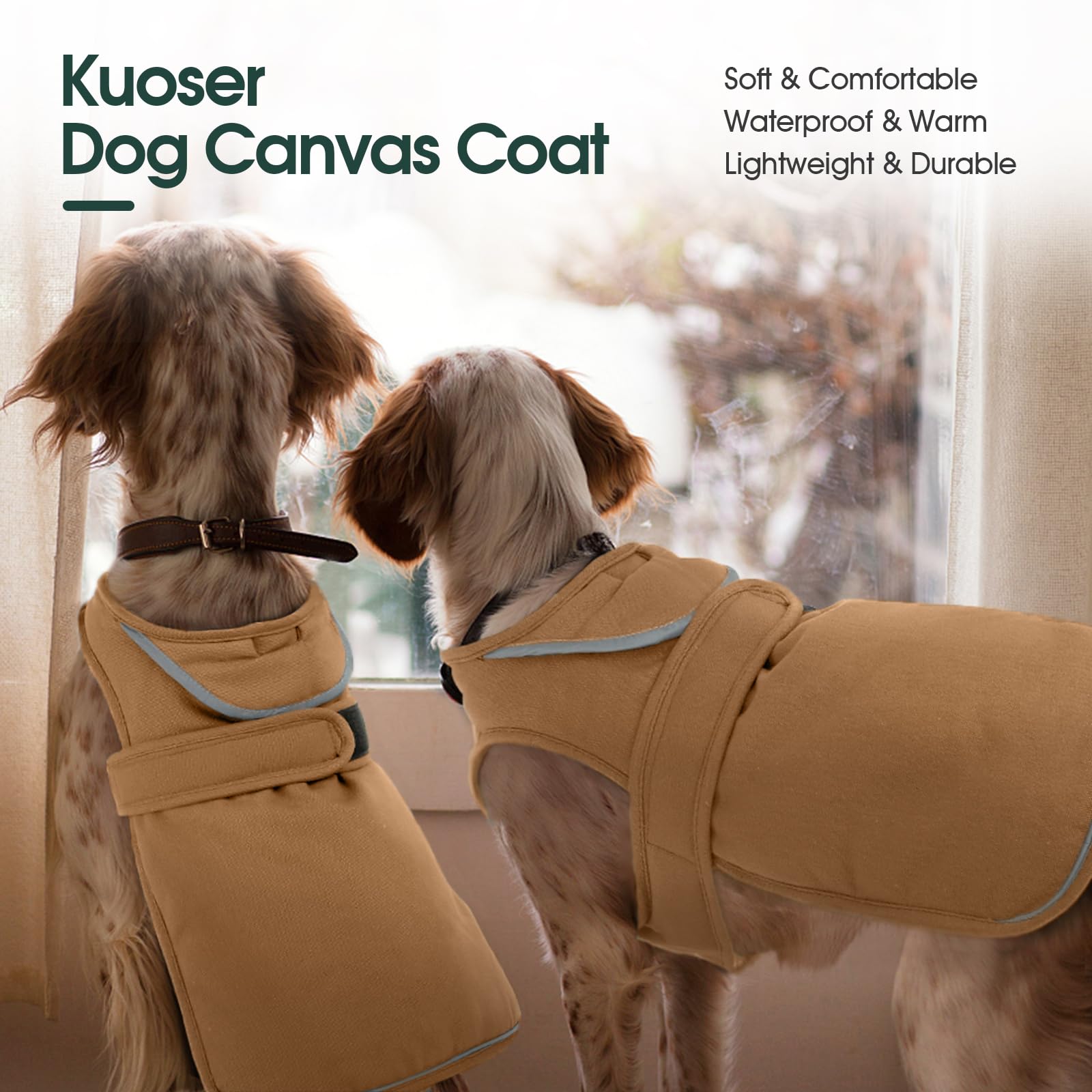Kuoser hind elastic band keeps coat in place during movement