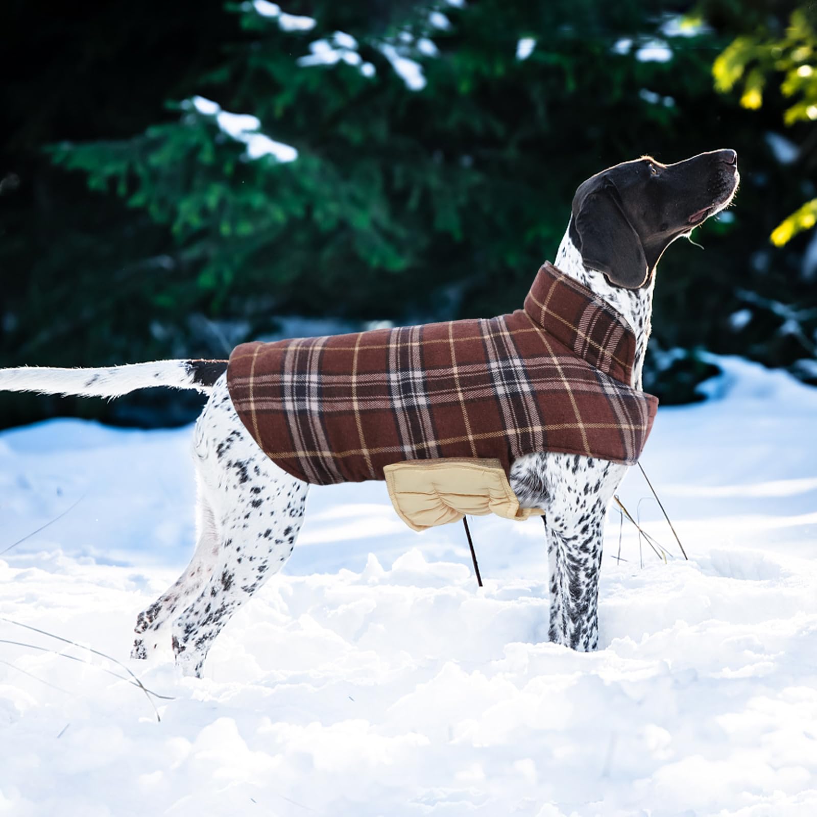 Kuoser inner fleece warmth lining keeps dogs cozy.