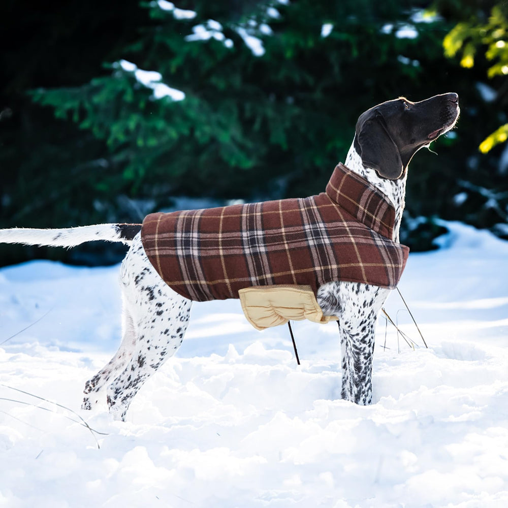 Kuoser inner fleece warmth lining keeps dogs cozy.