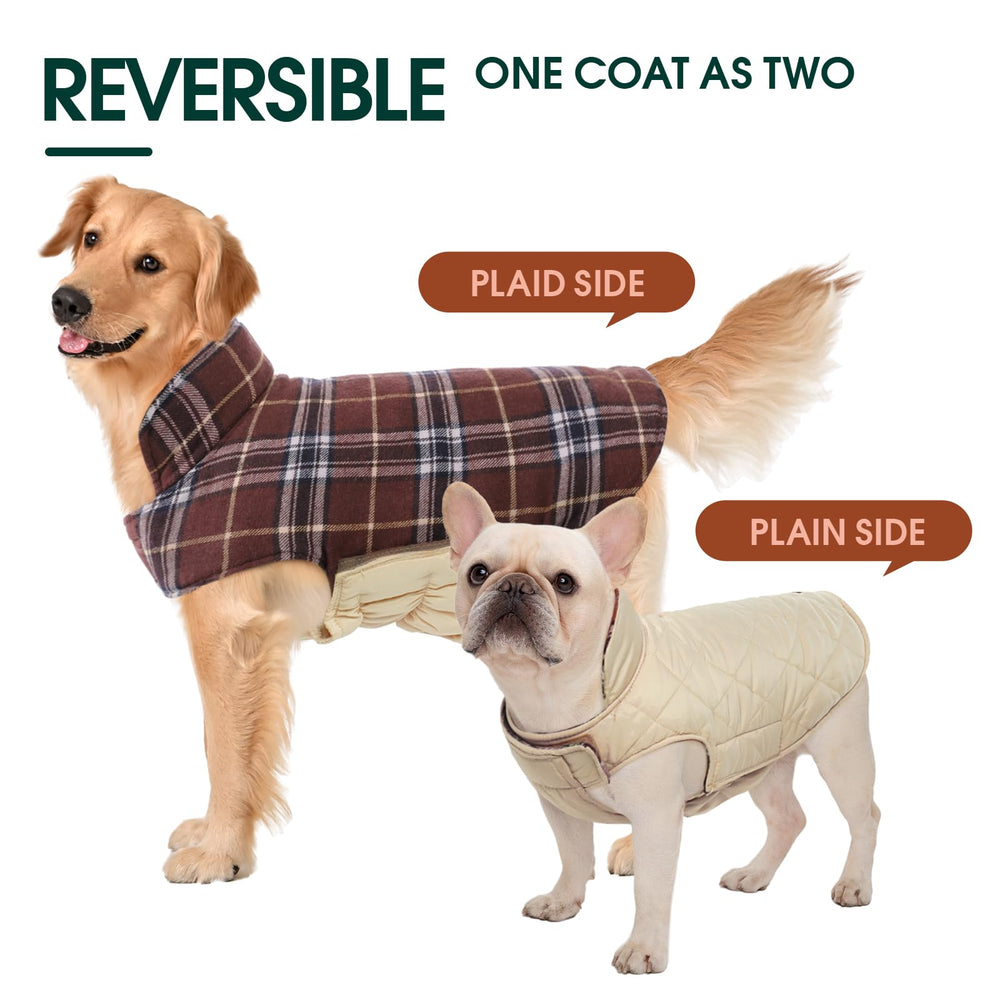 Kuoser dog coat back leash hole enables safe walks.