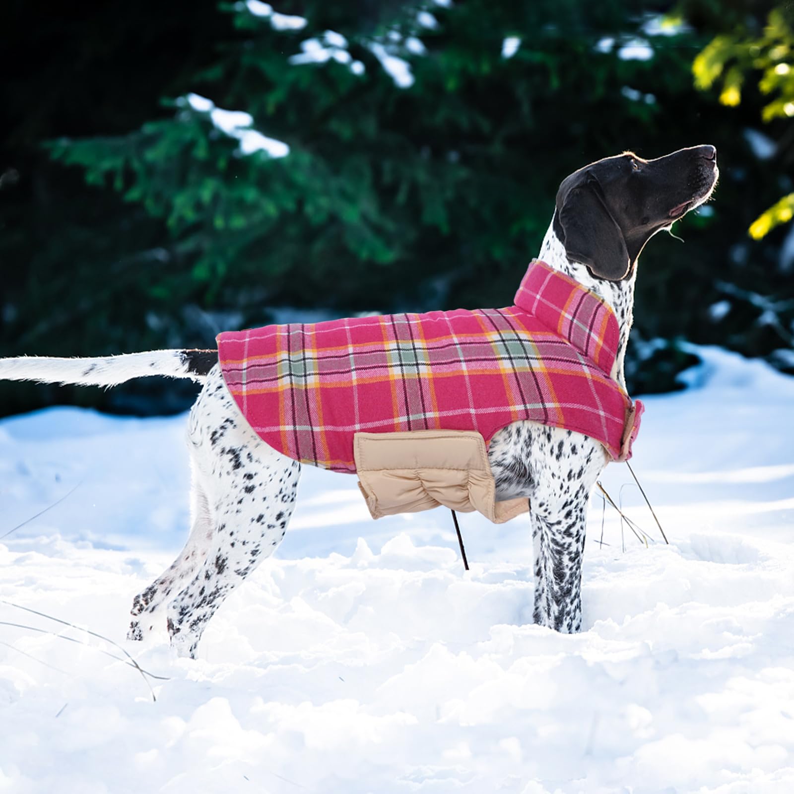 Kuoser dog coat vintage plaid pattern adds stylish warmth