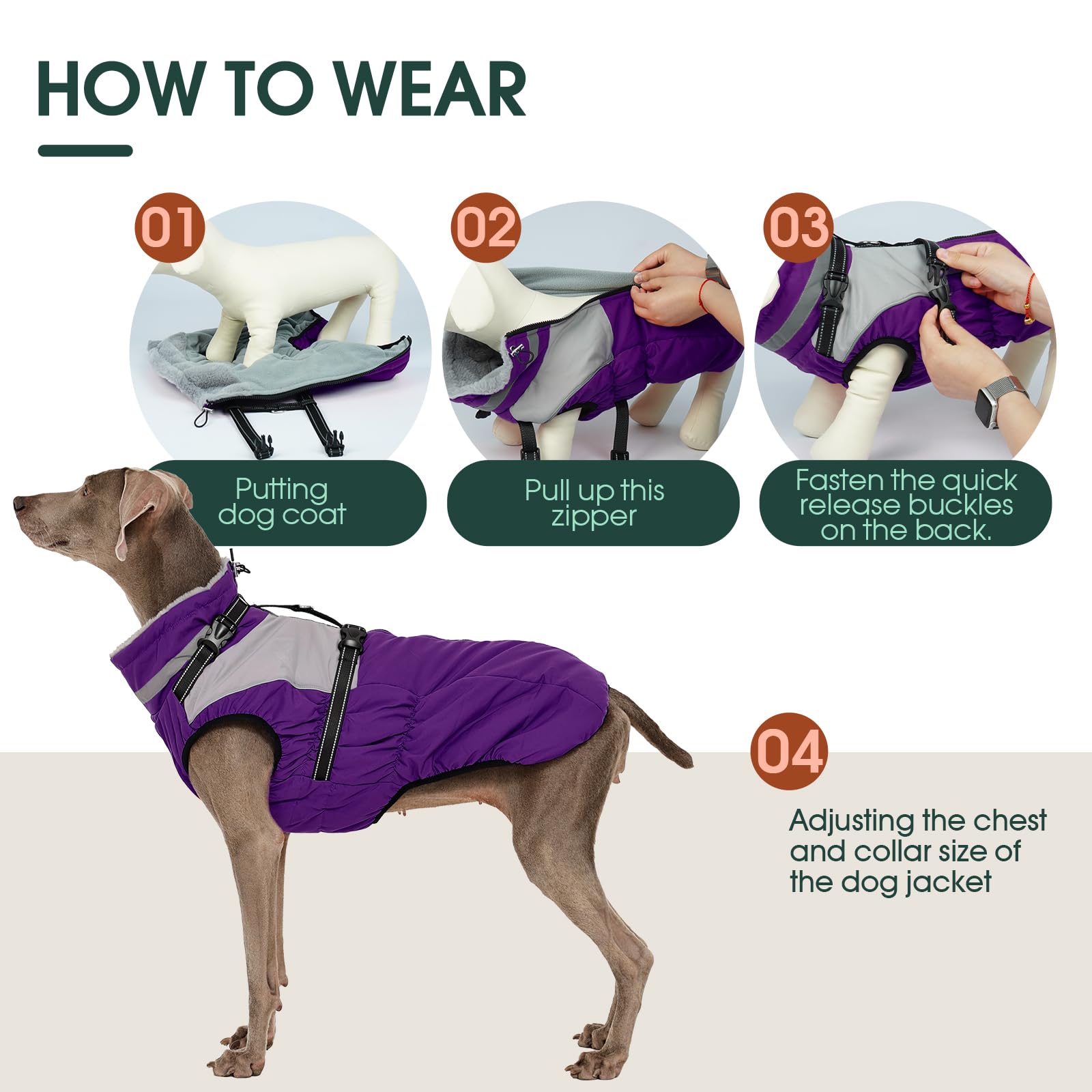Kuoser dog coat worn during winter walk shows cozy protection during cold walks