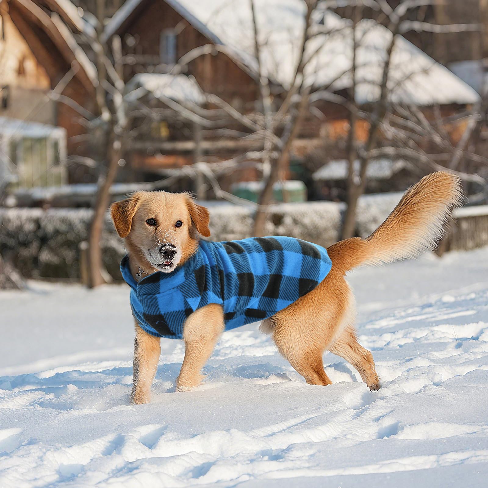 Kuoser plaid vest in Christmas style ideal for holiday photos