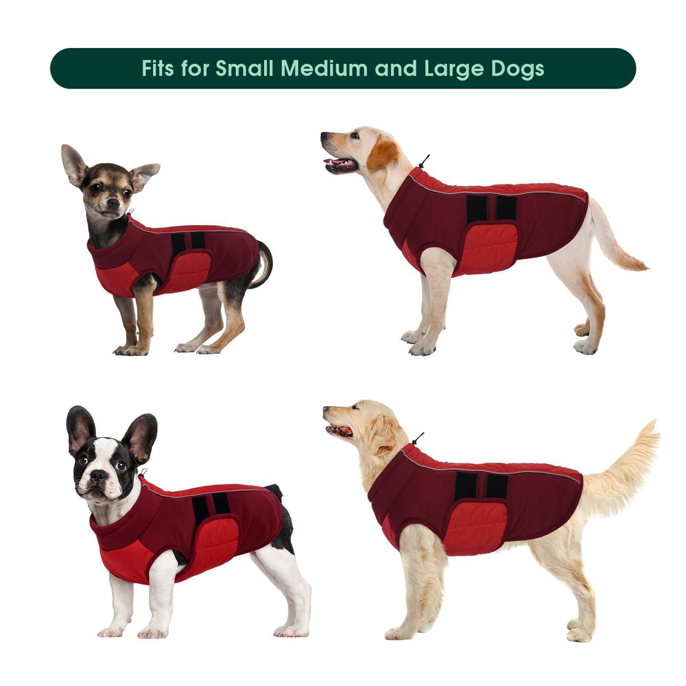 Kuoser dog jacket belly closure with leash clasp for secure harness use.