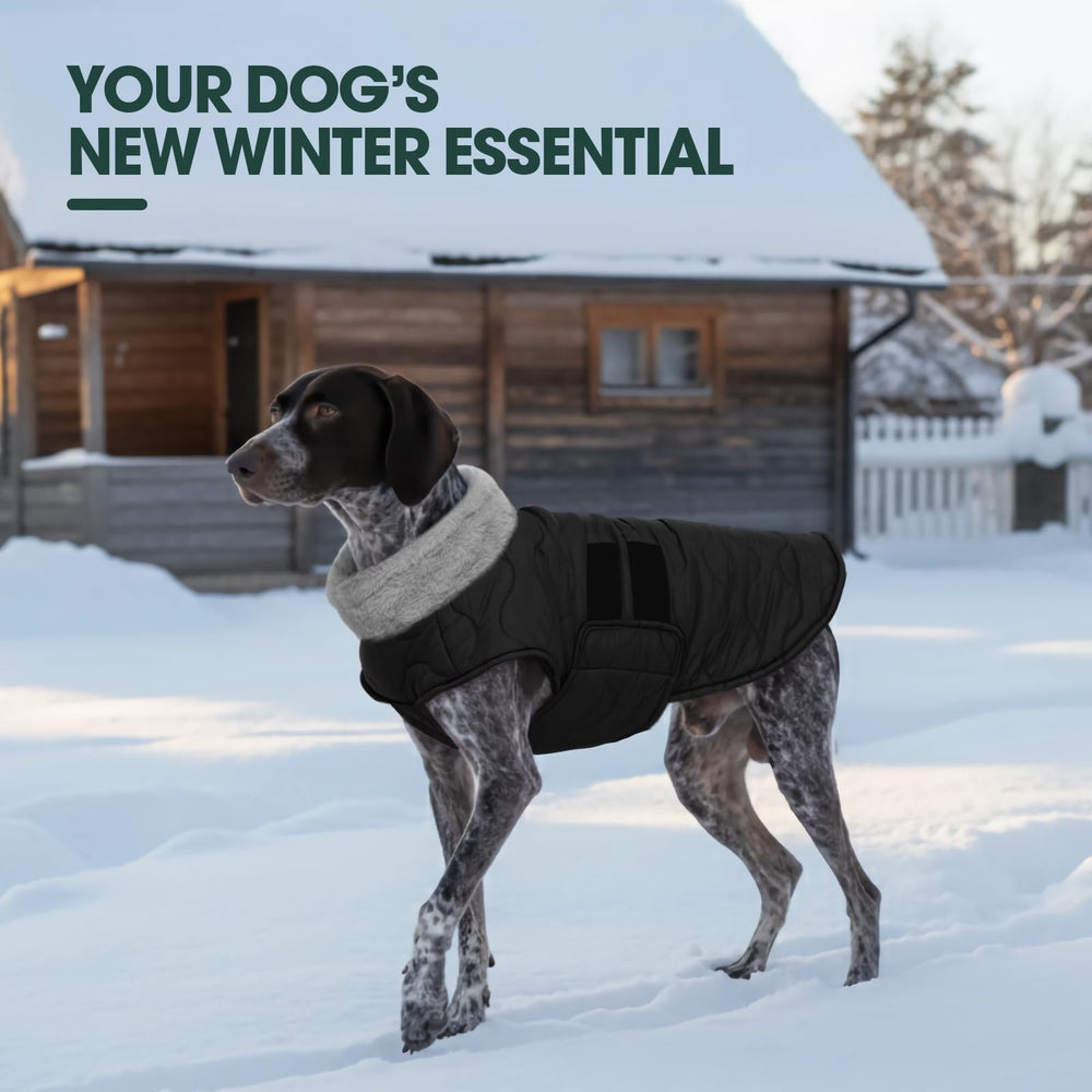 Kuoser dog jacket faux-fur-collar adds warmth and a polished look.
