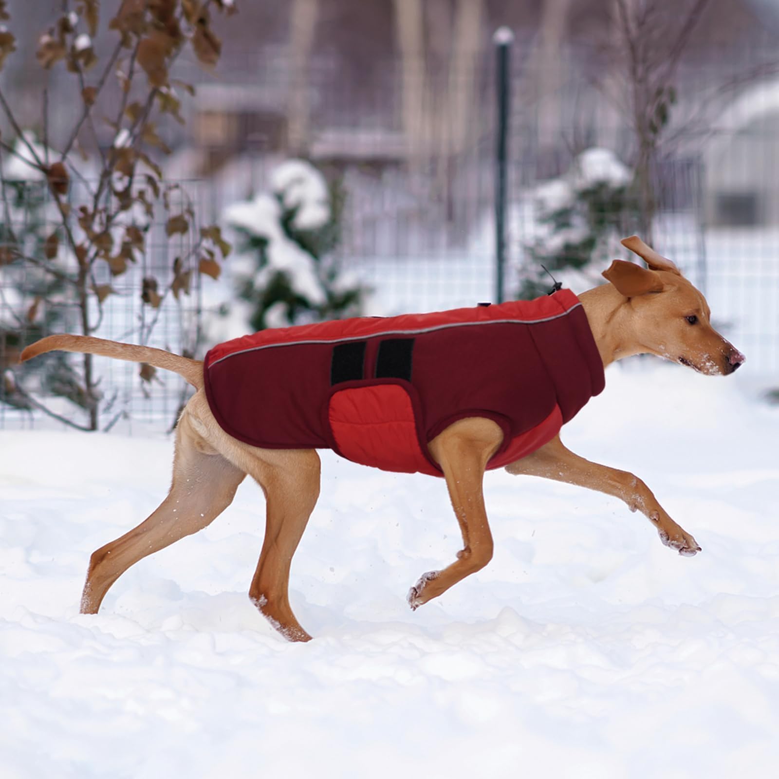 Kuoser dog jacket machine washable for quick cleanup after adventures.