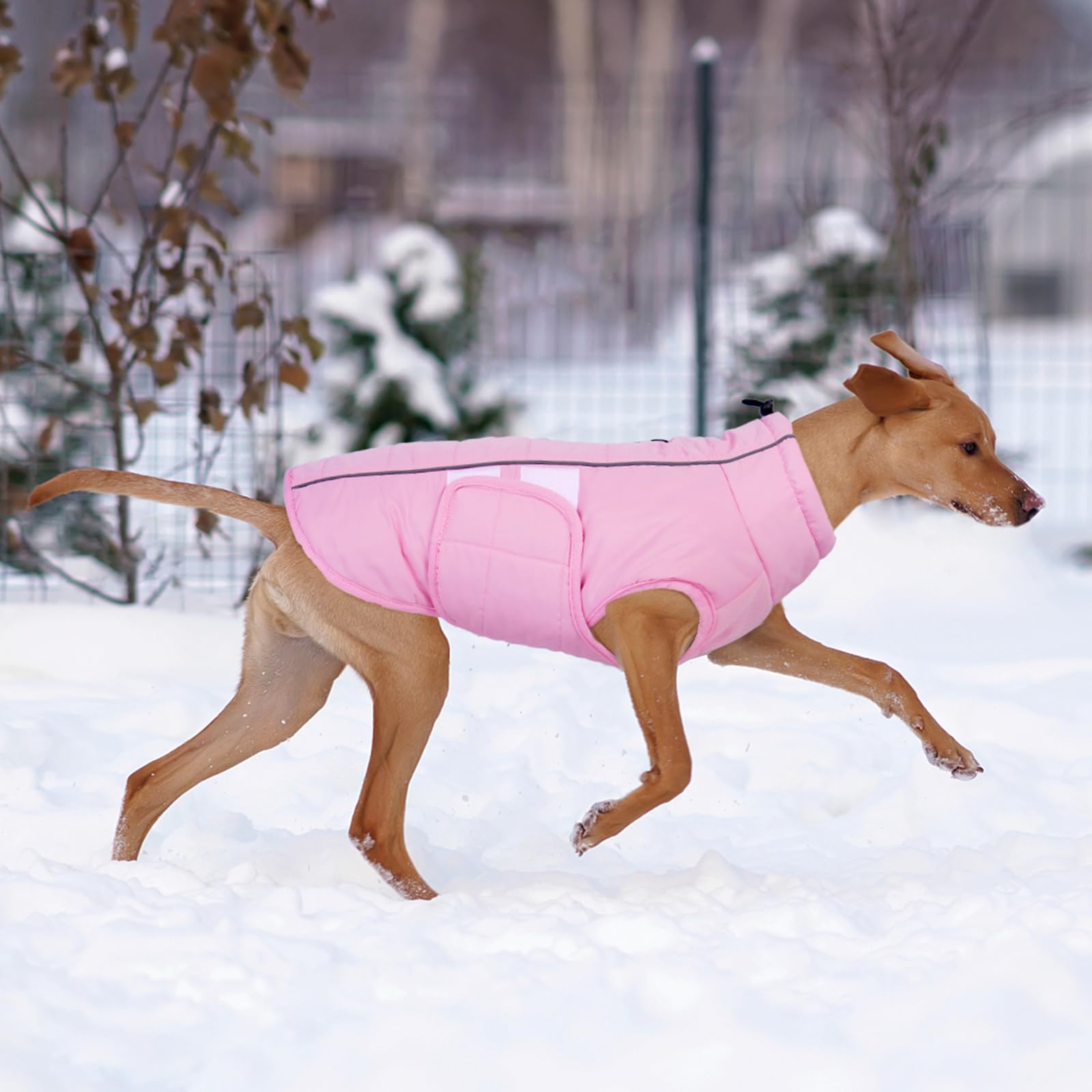 Kuoser dog jacket pink XS adjustable closure for snug, customizable fit