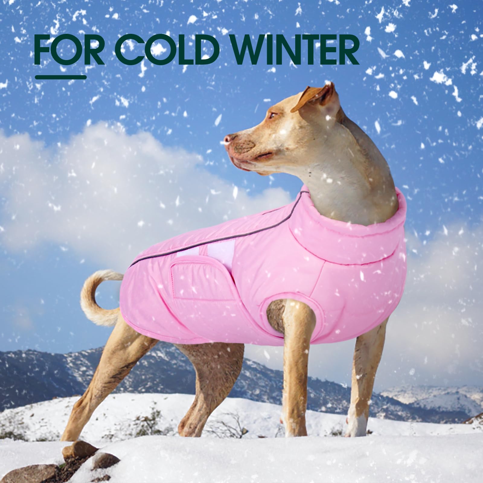 Kuoser dog jacket pink XS close-up fabric shows durable waterproof material