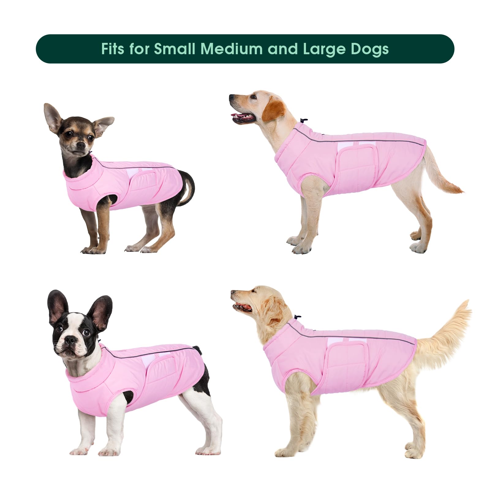 Kuoser dog jacket pink XS size chart helps pick the right fit