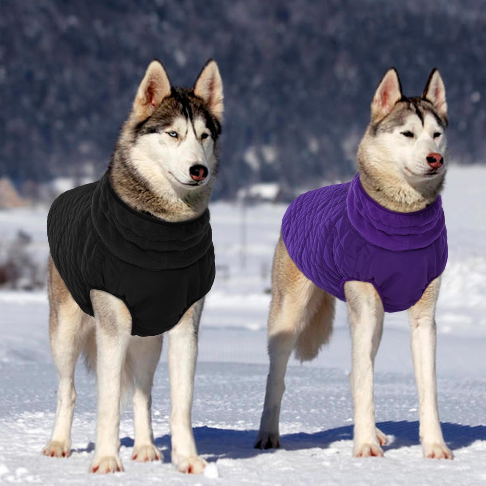 Kuoser dog jacket size guide helps find the right fit