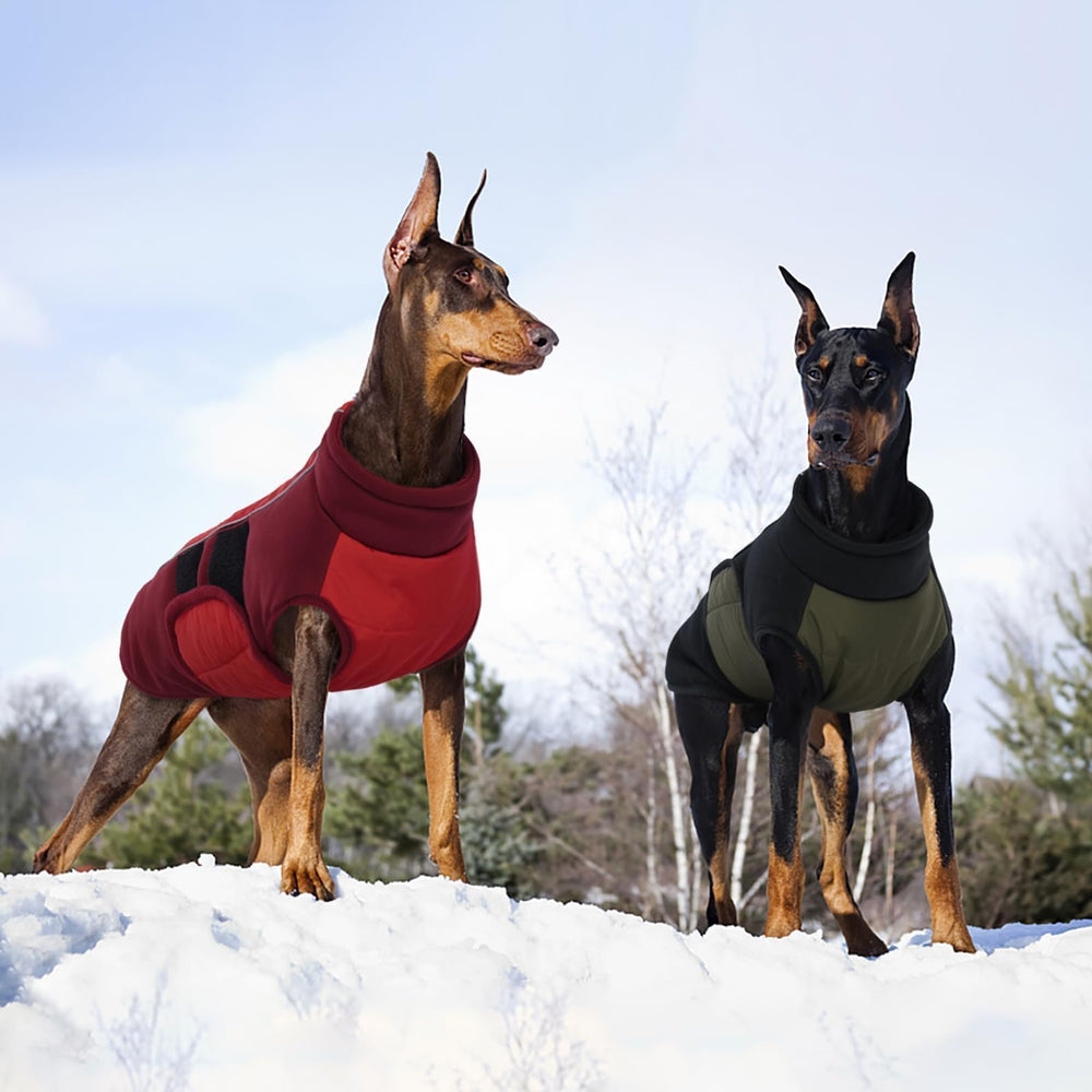 Kuoser dog jacket size range guide helps find the right fit.