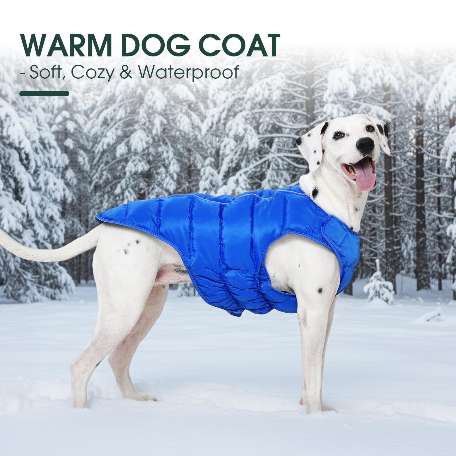 Kuoser dog puffer jacket flatlay blue-xl communicates size options and styling.