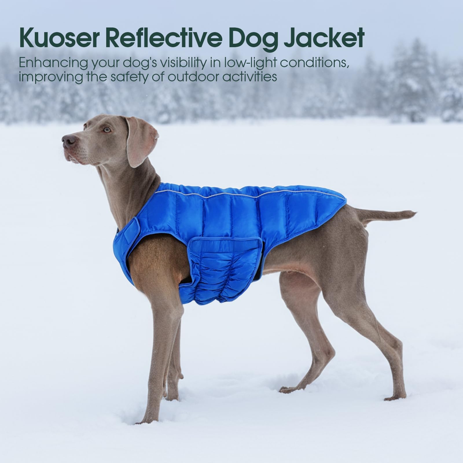 Kuoser dog puffer jacket reflective strips enhance visibility during low-light outings.