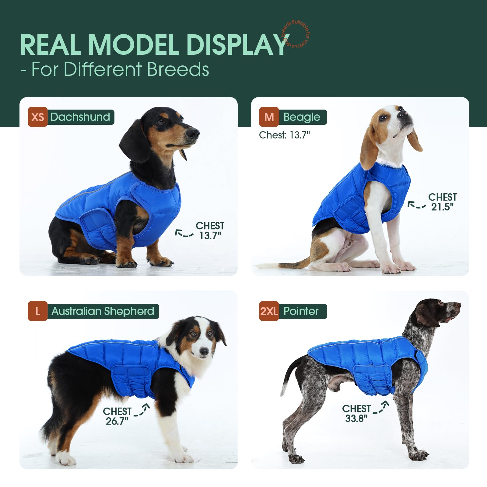 Kuoser dog puffer jacket side view shows snug fit for active large dogs.