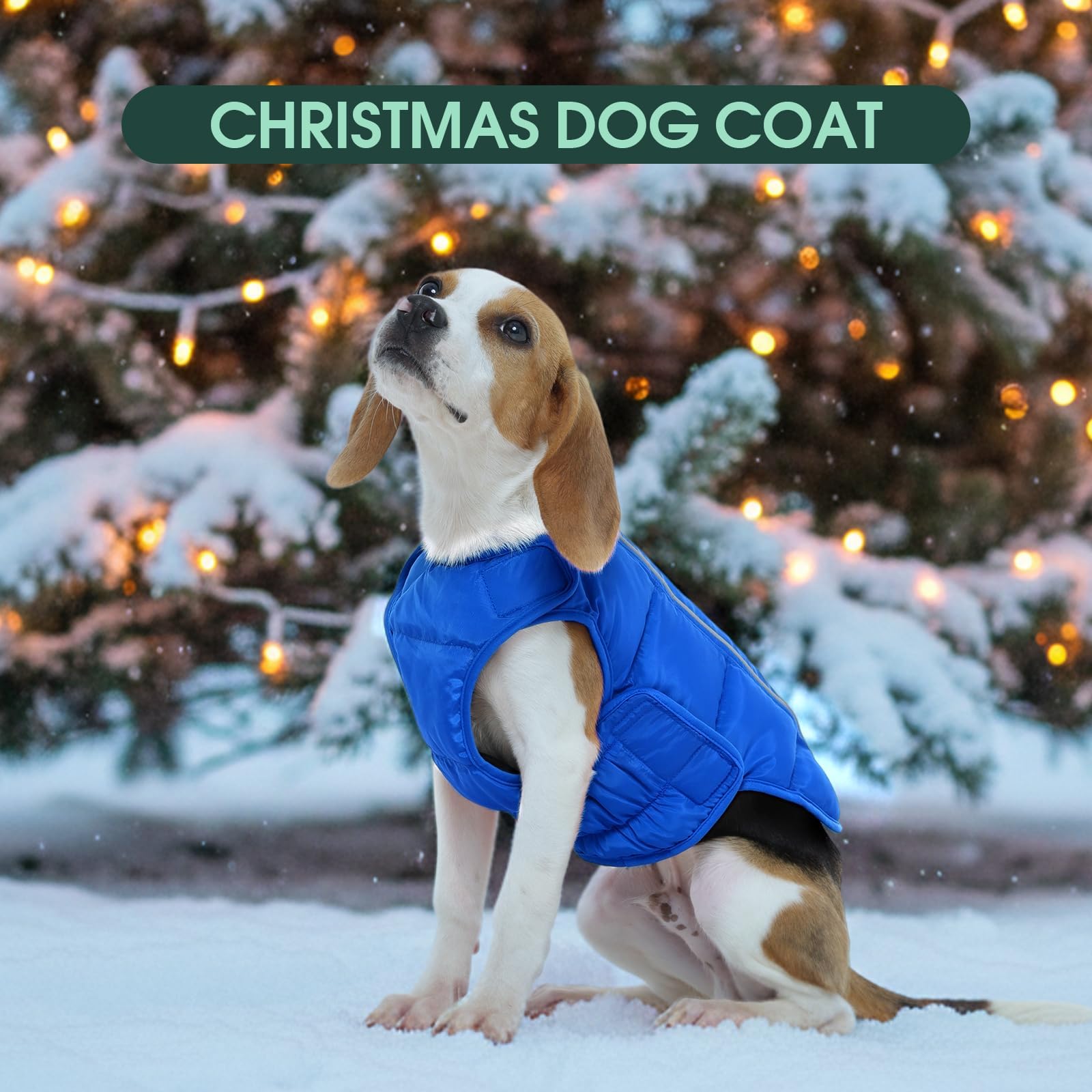 Kuoser dog puffer jacket walk in snow shows durable wind protection.
