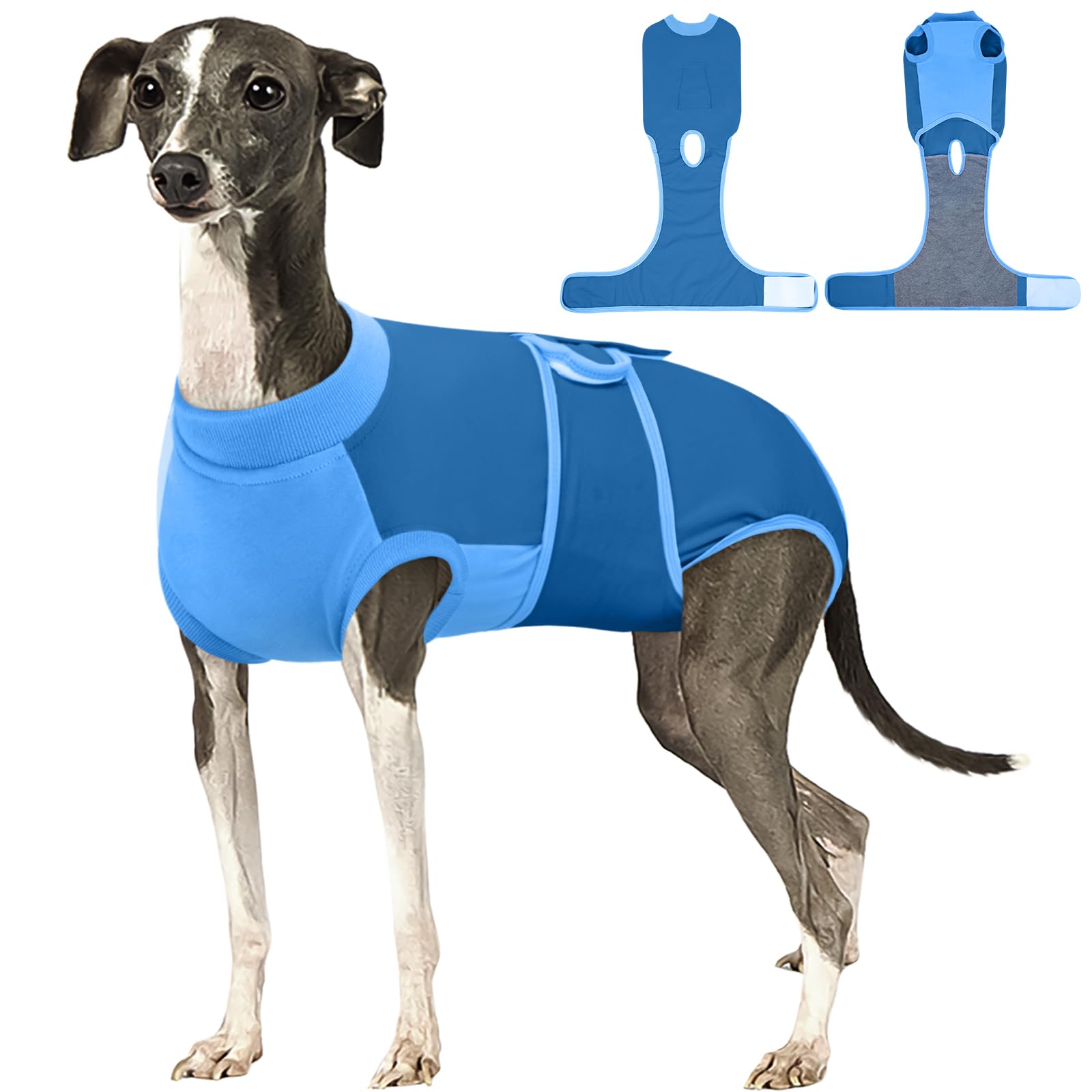 Kuoser dog recovery suit blue on dog demonstrates full-coverage protection during post-surgery recovery.