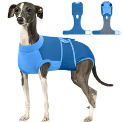Kuoser dog recovery suit blue on dog demonstrates full-coverage protection during post-surgery recovery.