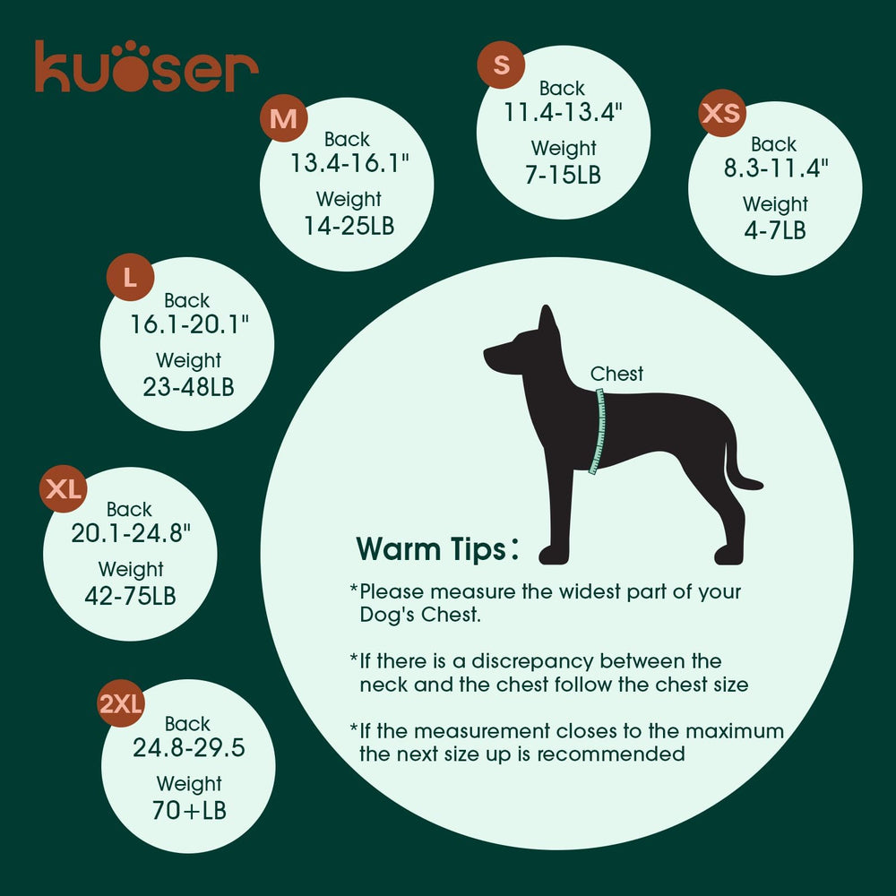 Kuoser dog recovery suit demonstrates cone-alternative protection for wounds