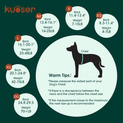 Kuoser dog recovery suit demonstrates cone-alternative protection for wounds