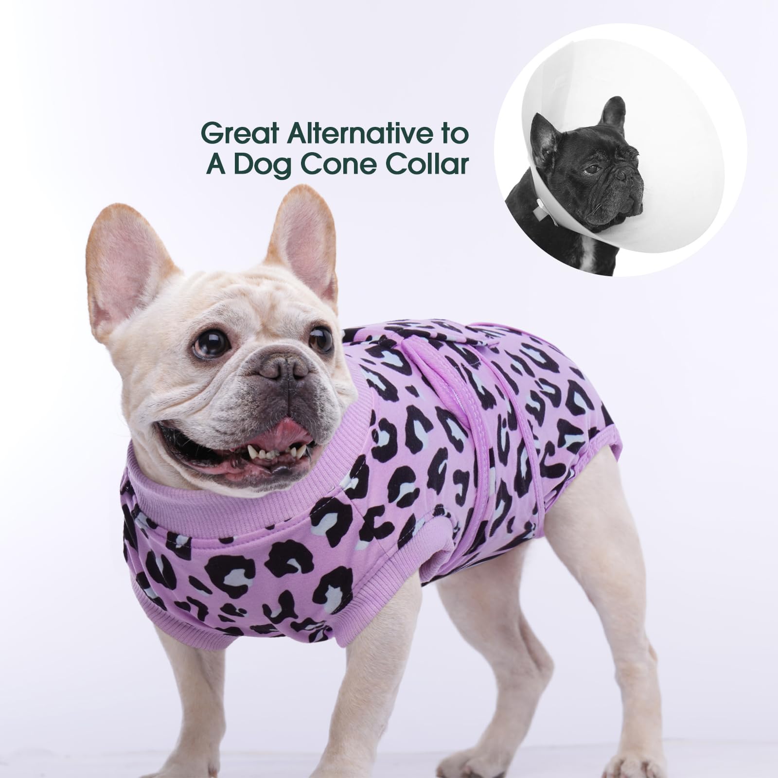 Kuoser dog recovery suit purple leopard M outdoor use demonstrates protection during walks and play.