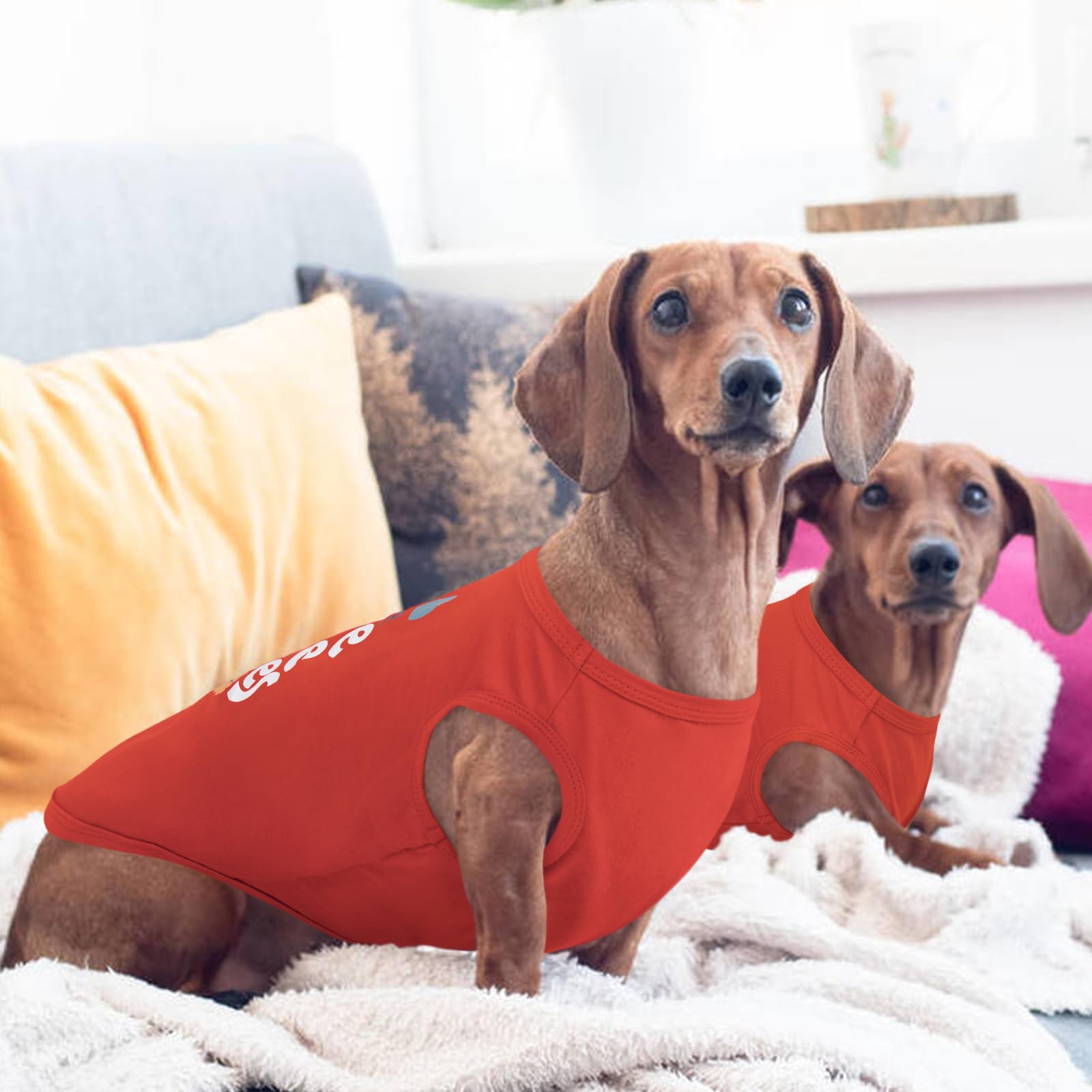 Kuoser dog shirt dog running activity showcasing ease of movement