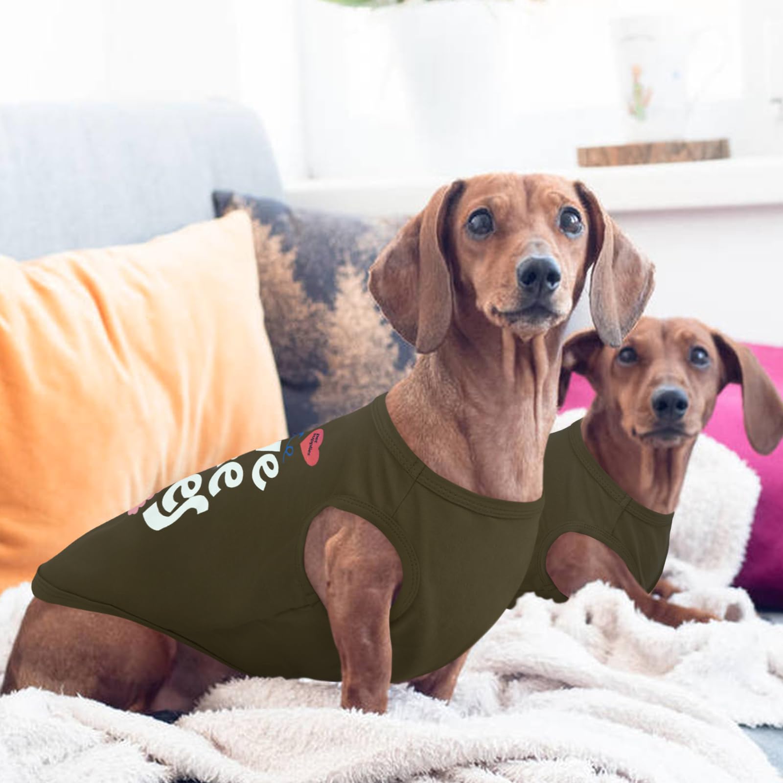 Kuoser dog shirt holiday print emphasizes festive style for Christmas and celebrations.
