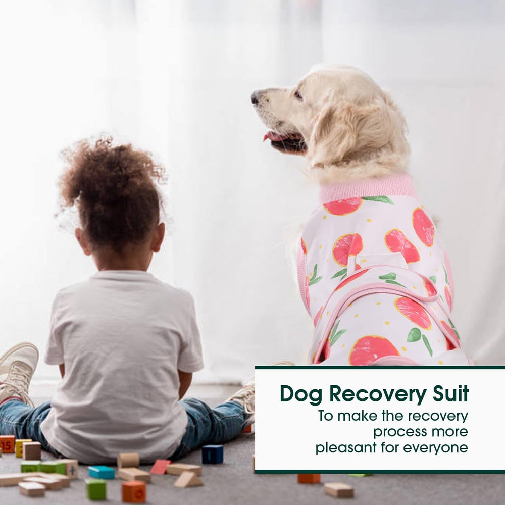 Kuoser dog surgery recovery suit cone-alternative supports healing