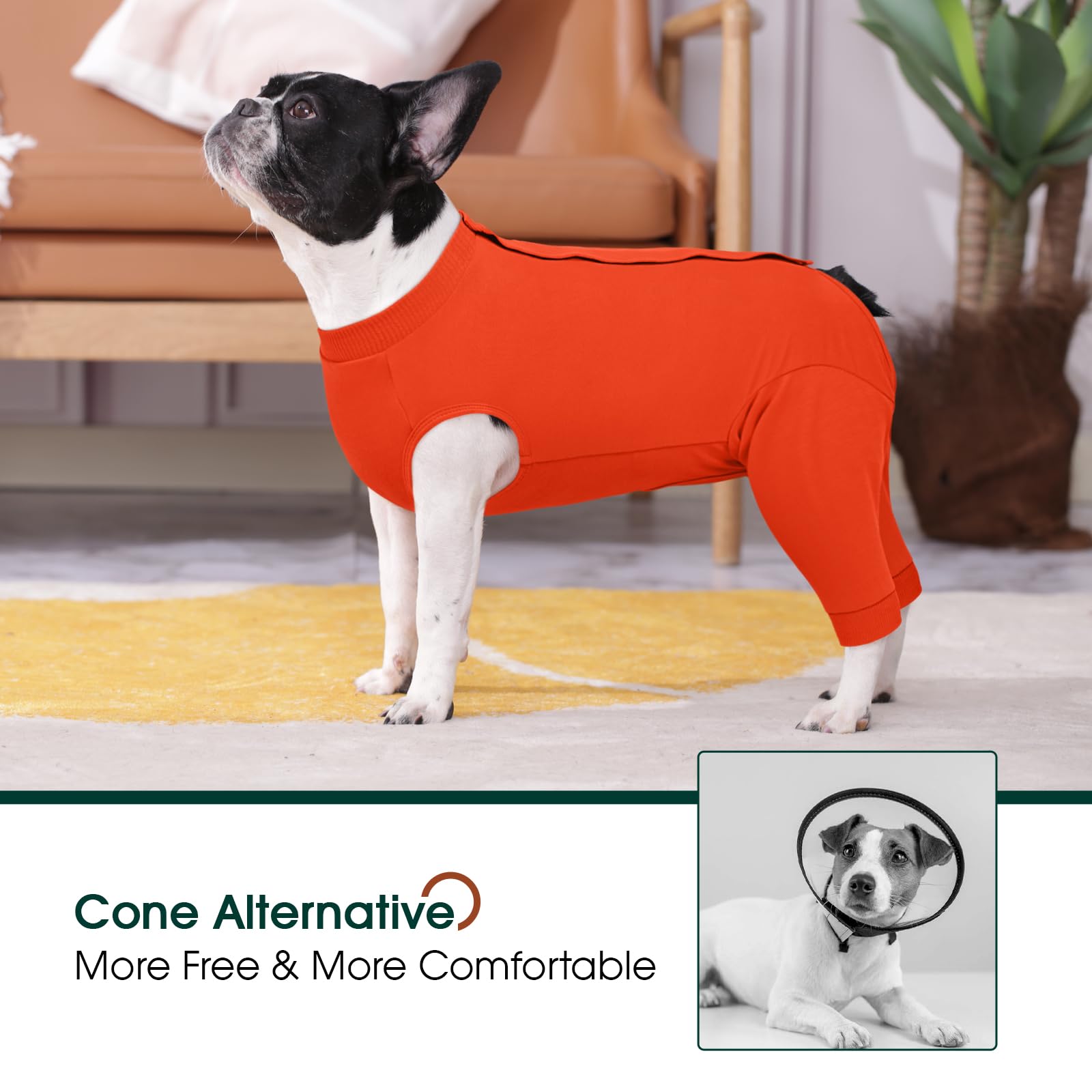 Kuoser dog surgery sleeve application image demonstrates easy put-on and secure fit.
