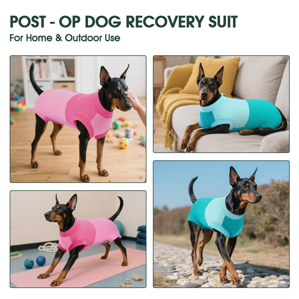 Kuoser post-op care suit supports calm vet visits and at-home recovery.