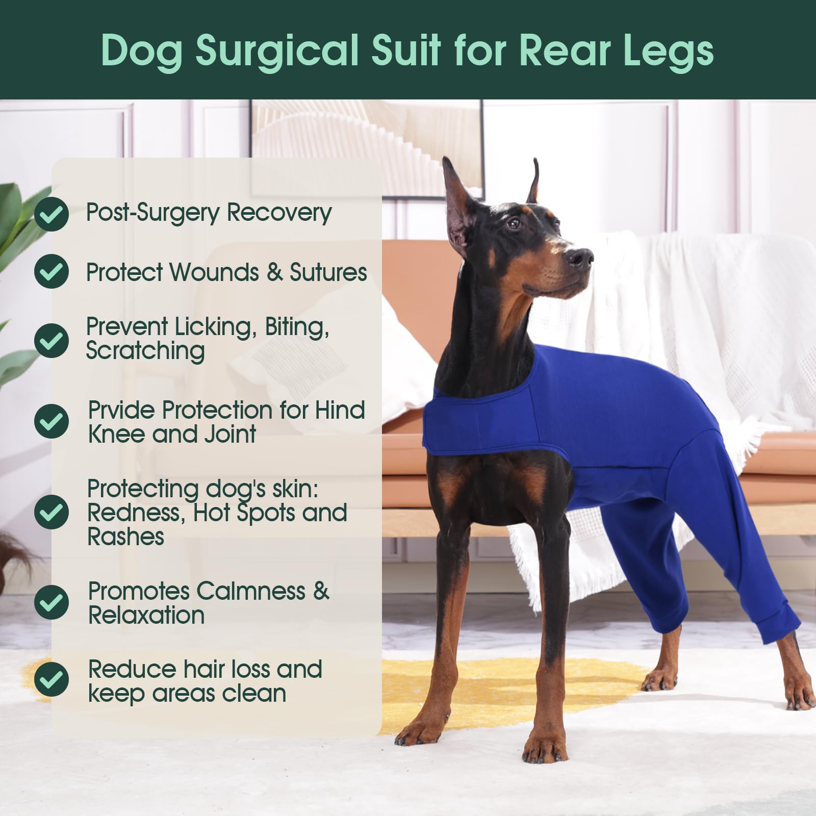 Kuoser seven size range fits small to large dogs for post op wear