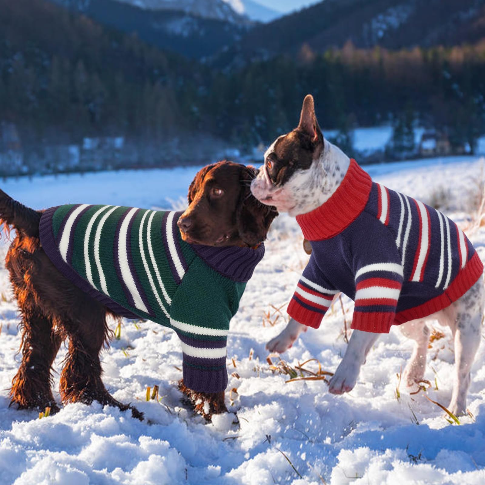 Kuoser dog sweater belly cut enables easy potty breaks