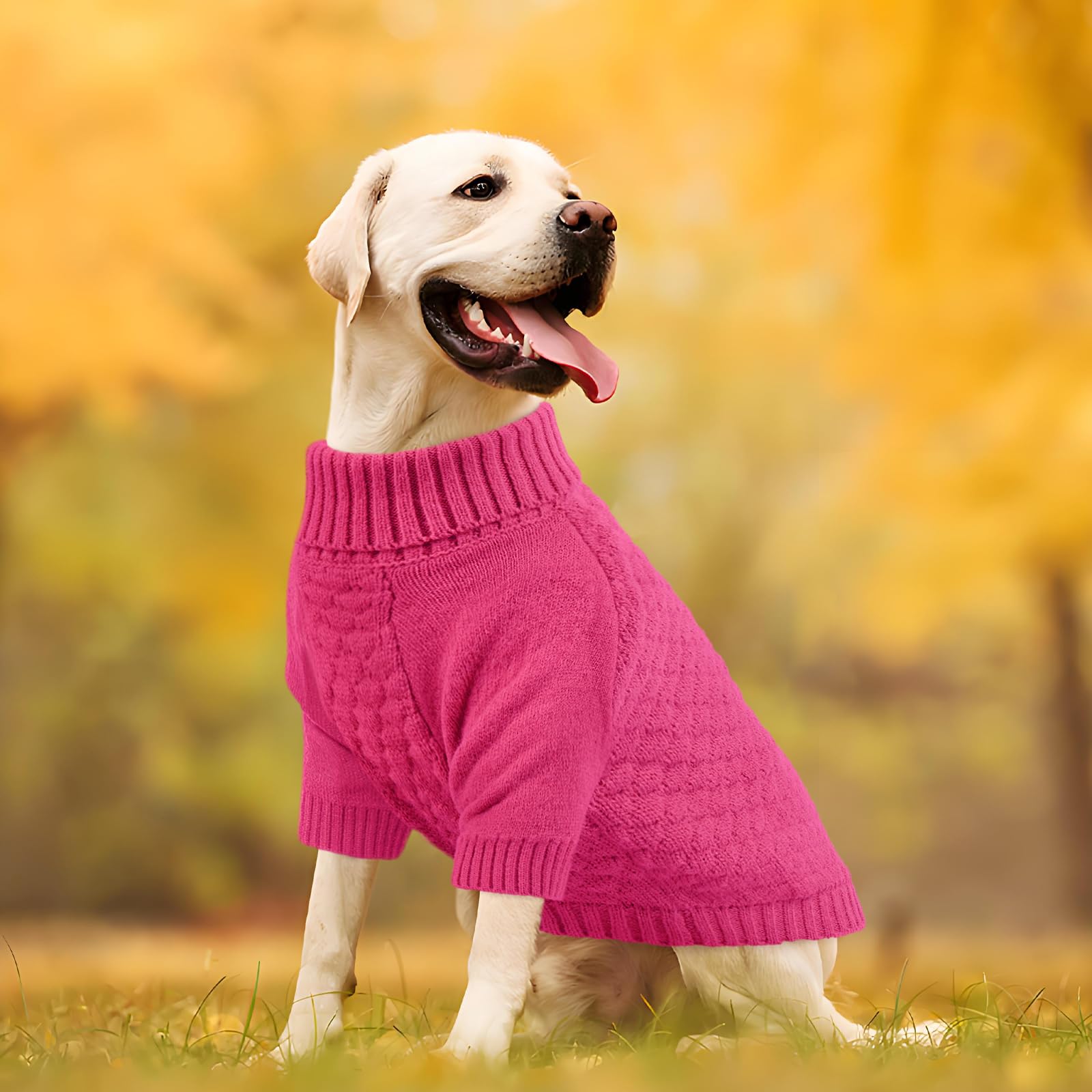 Lightweight Kuoser knit suited for year-round wear and layering