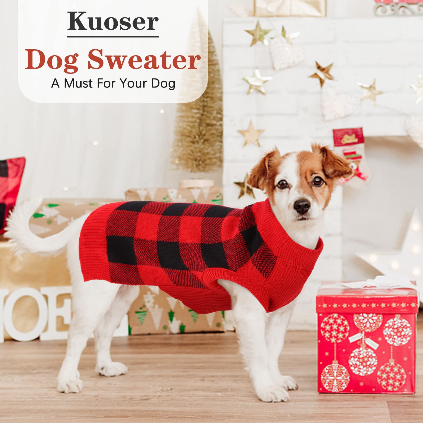 Kuoser dog wearing sweater on a walk highlights cozy winter wear.