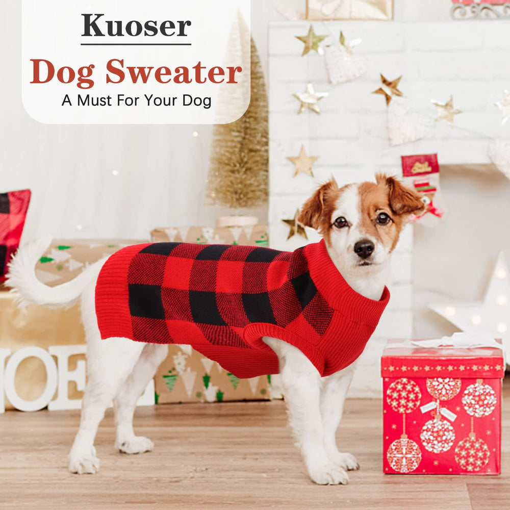 Kuoser dog wearing sweater on a walk highlights cozy winter wear.