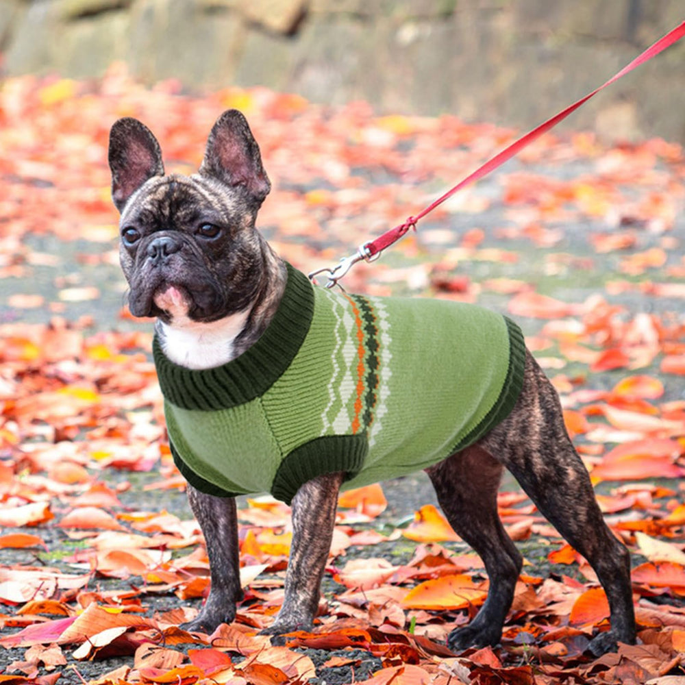 Kuoser dog sweater wavy stripe detail adds stylish streetwear vibe