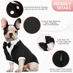 Kuoser dog tuxedo back view shows refined stitching and fit