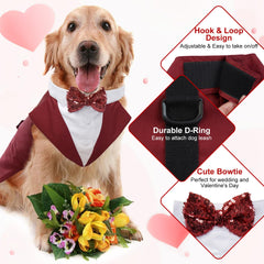 Kuoser dog tuxedo bow tie detail with decorative buttons.