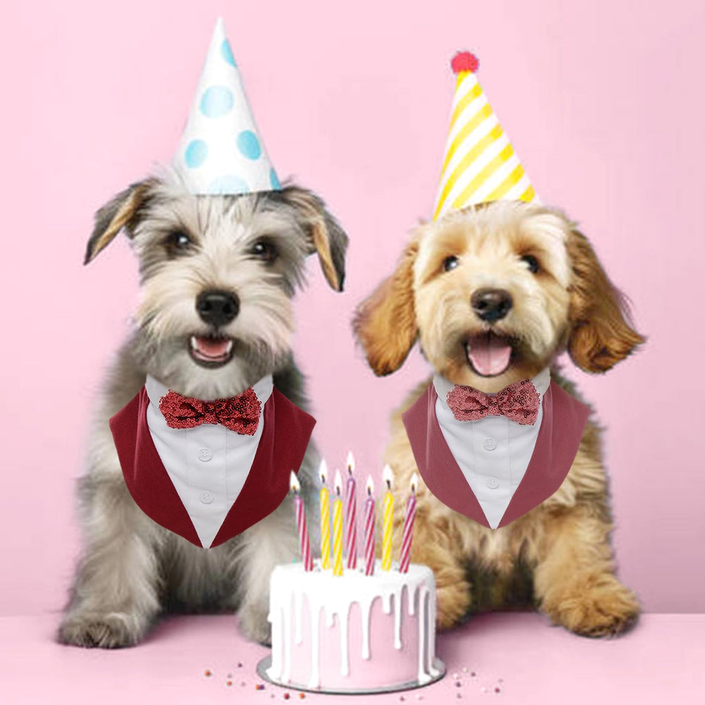 Kuoser dog tuxedo fabric texture signals quality and comfort.