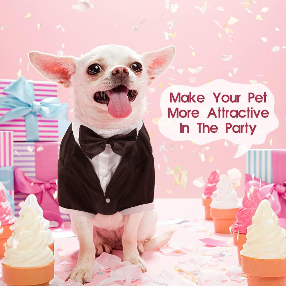 Kuoser tuxedo party scene suggests versatile celebrations and photo-ready moments