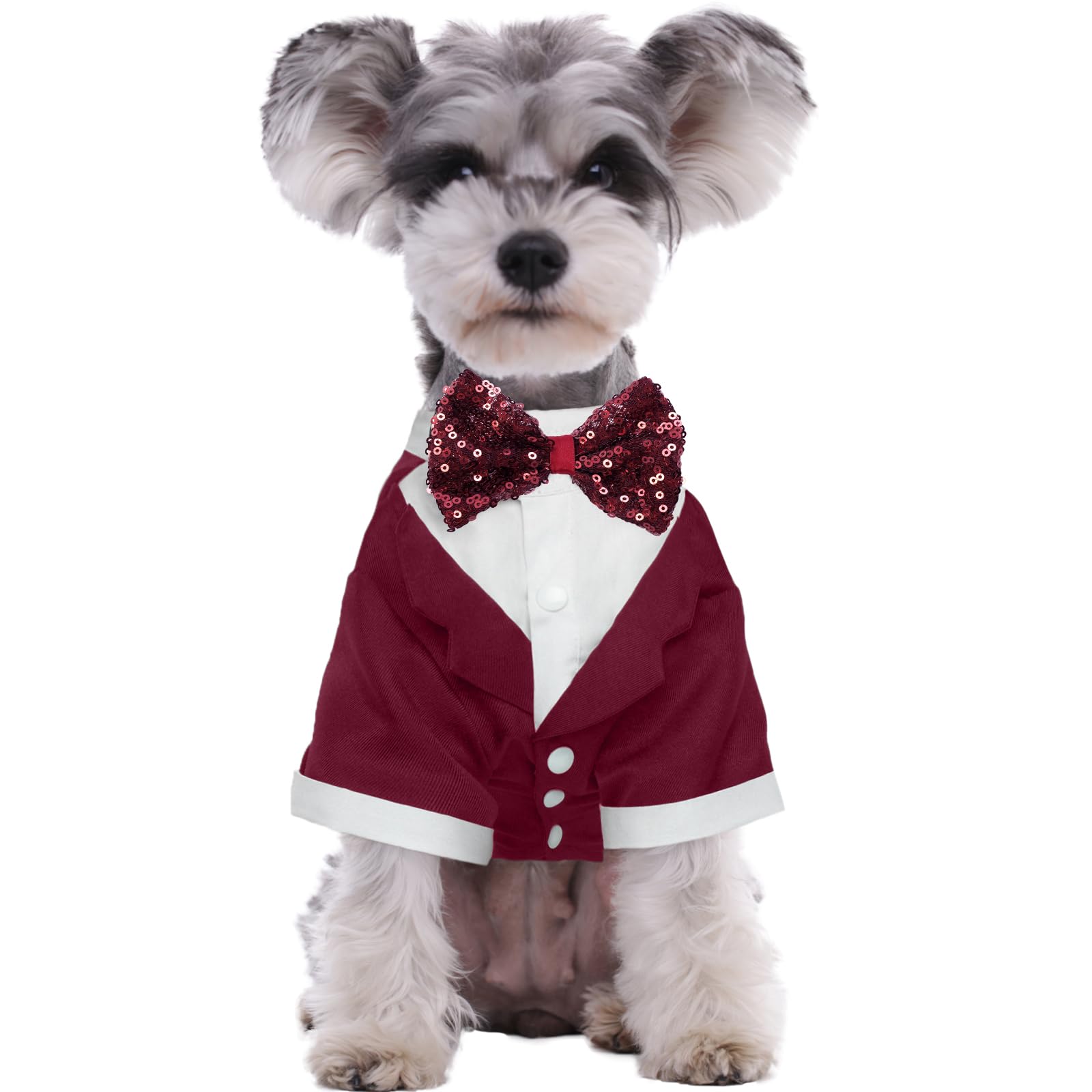 Kuoser dog tuxedo red front view ideal for weddings and holidays.