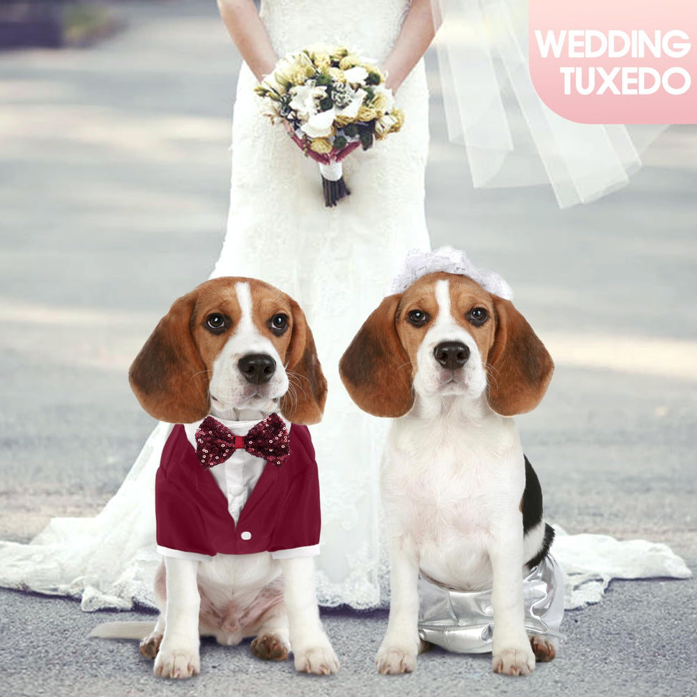 Kuoser dog tuxedo red party-ready styling for celebrations.