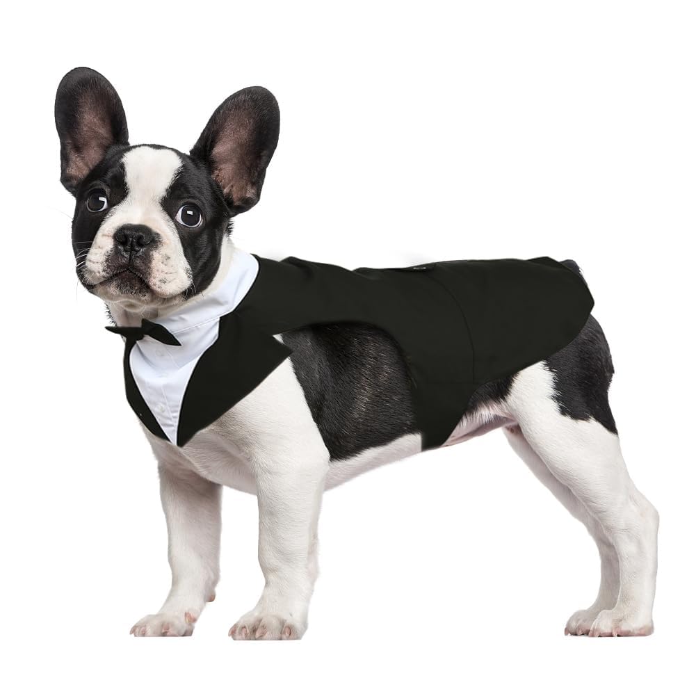 Kuoser dog tuxedo set with bow tie, ready for formal events.